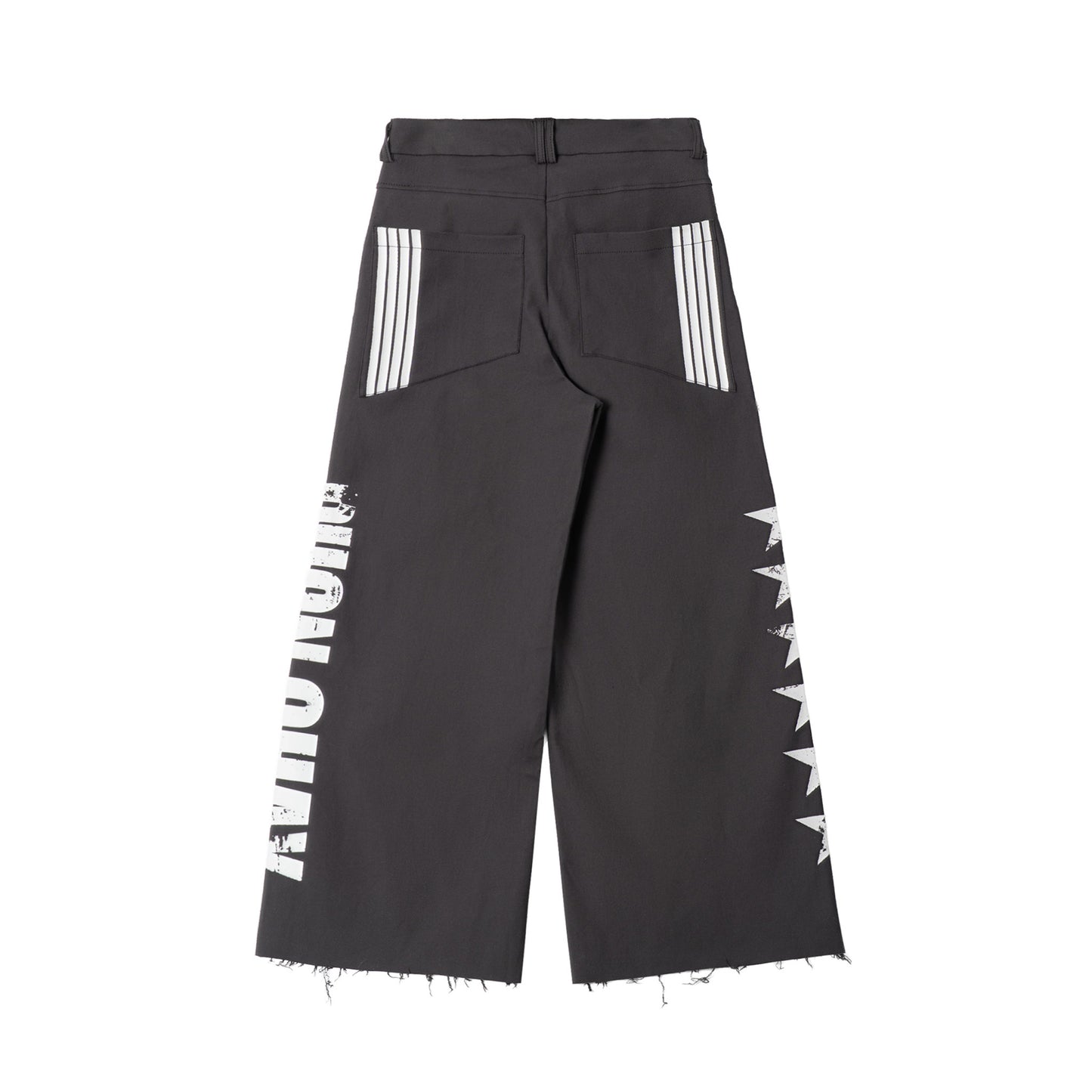 STARLANE PANTS - GRAY