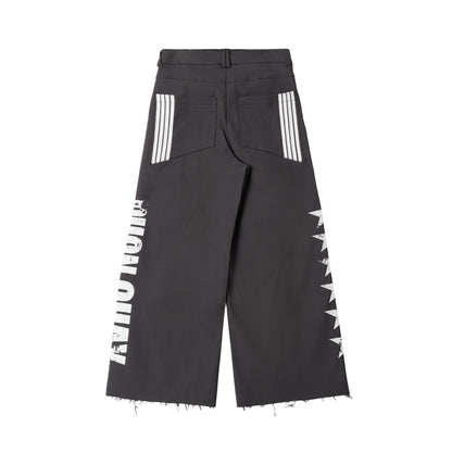 STARLANE PANTS - GRAY