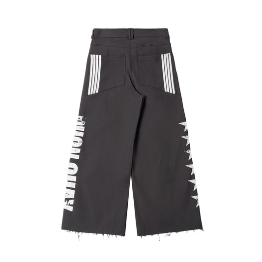 STARLANE PANTS - GRAY